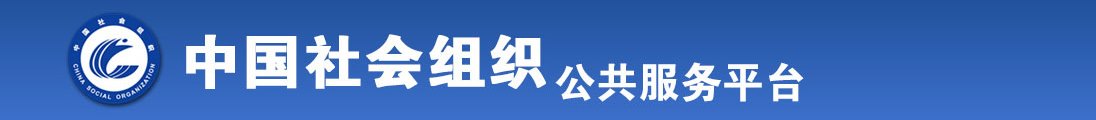 屄美全国社会组织信息查询